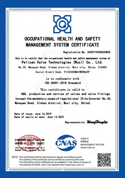 Pelican Worldwide - CERTIFICATE OF CONFORMITY